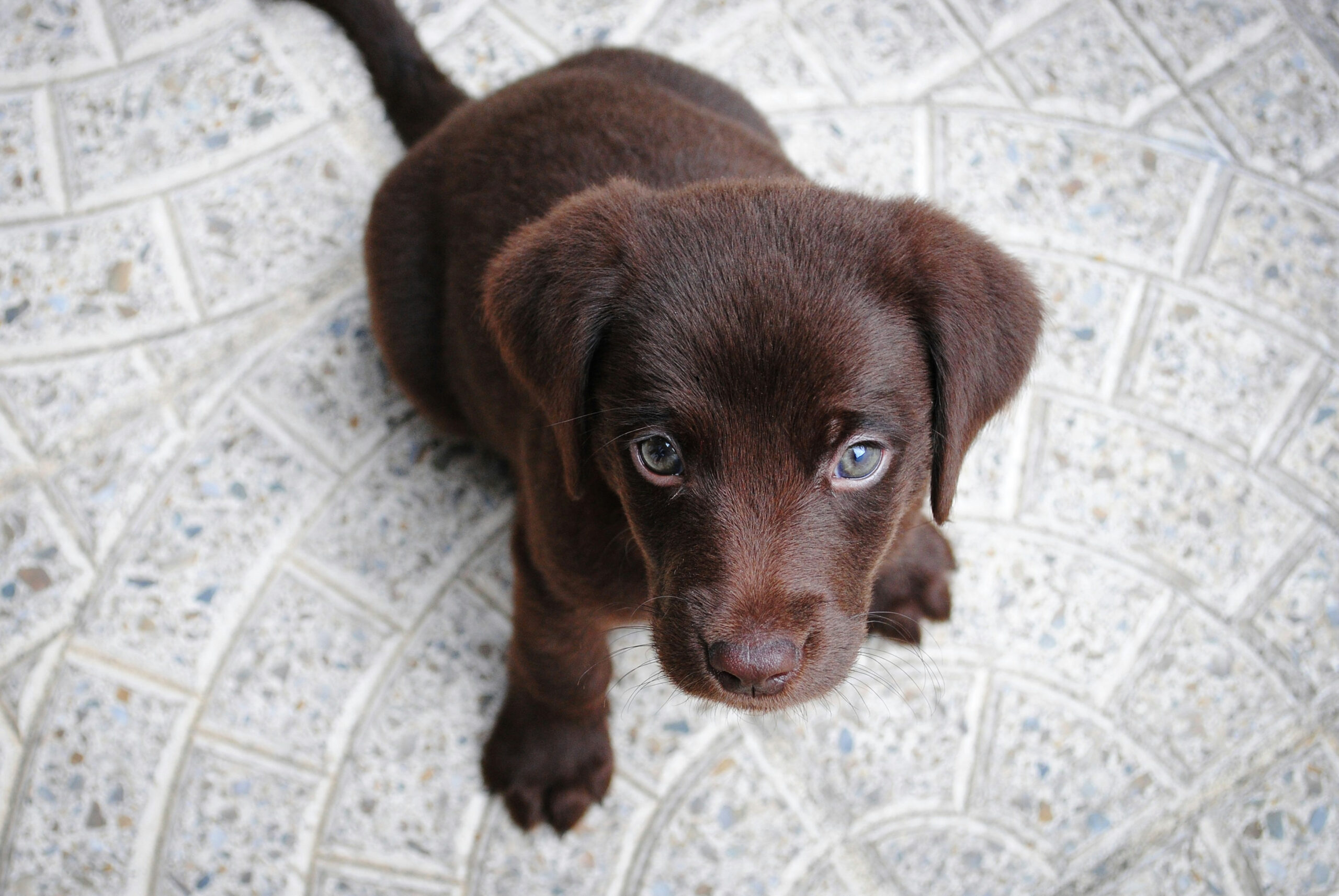Hello world!